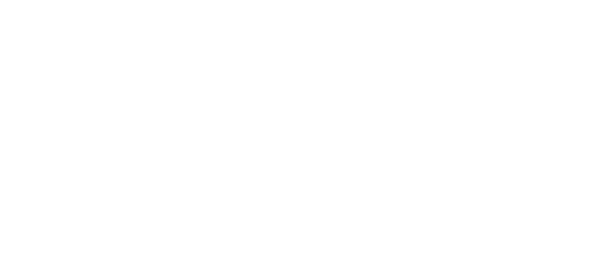 lenzi fashion line