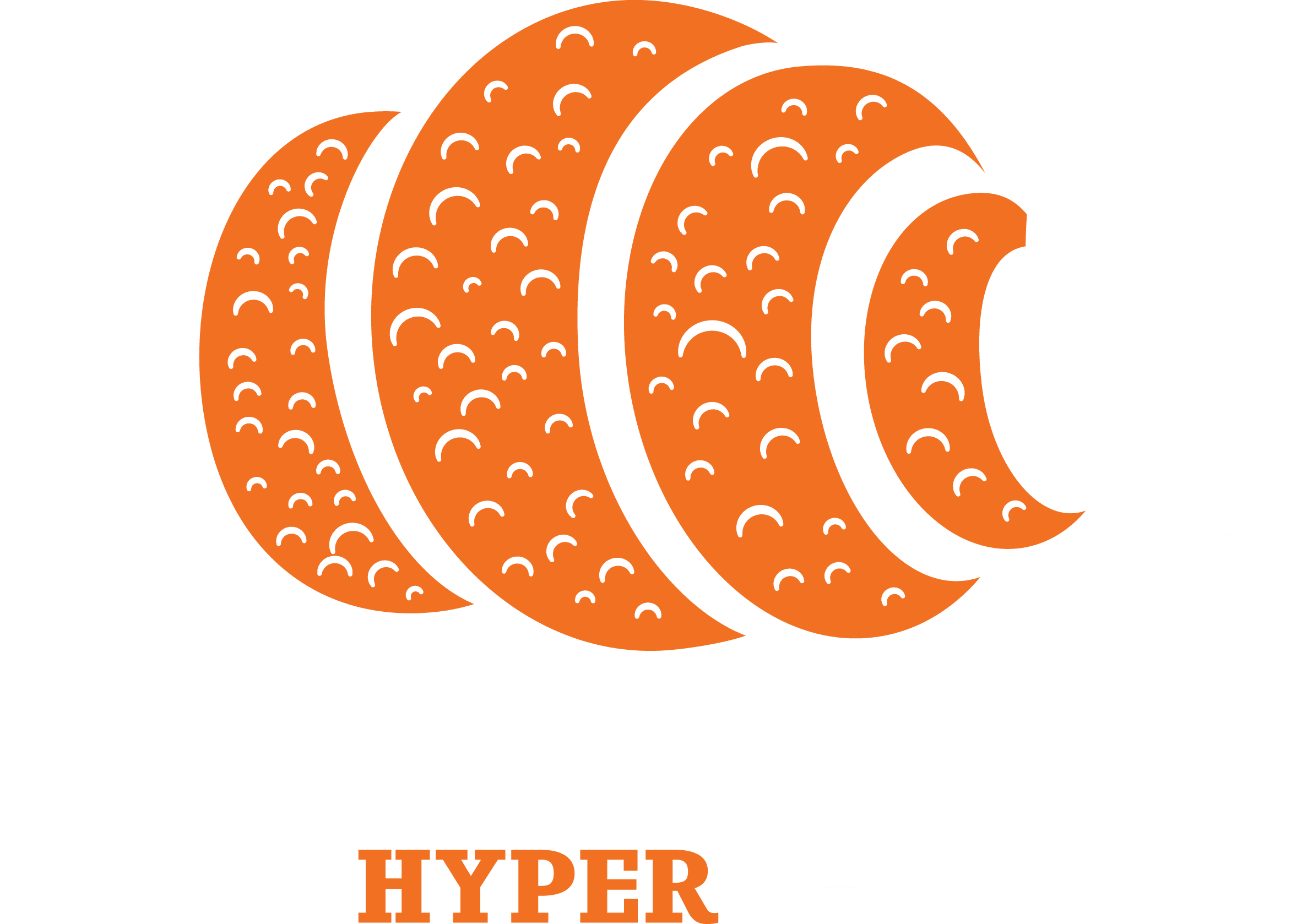 Logo HyperTex putek 02